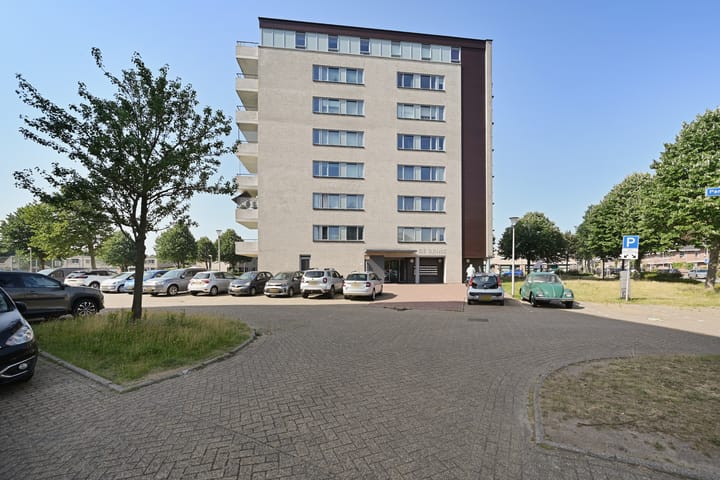 Photo 31 of Parnassia 39