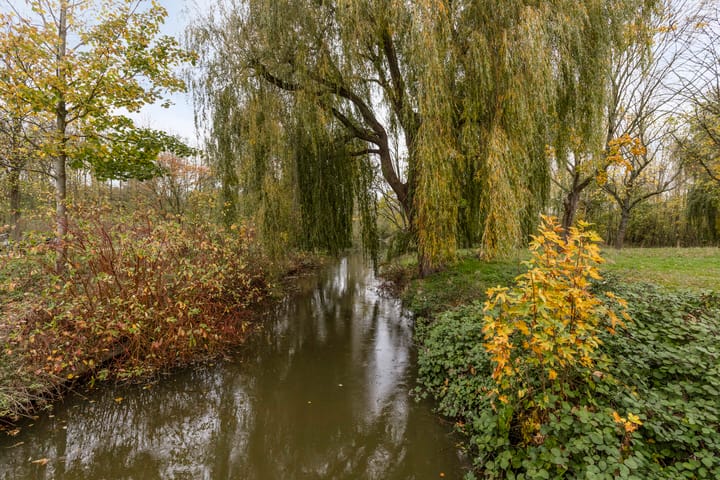 Photo 3 of Rommesingel 14