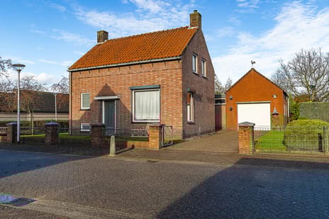 undefined main image