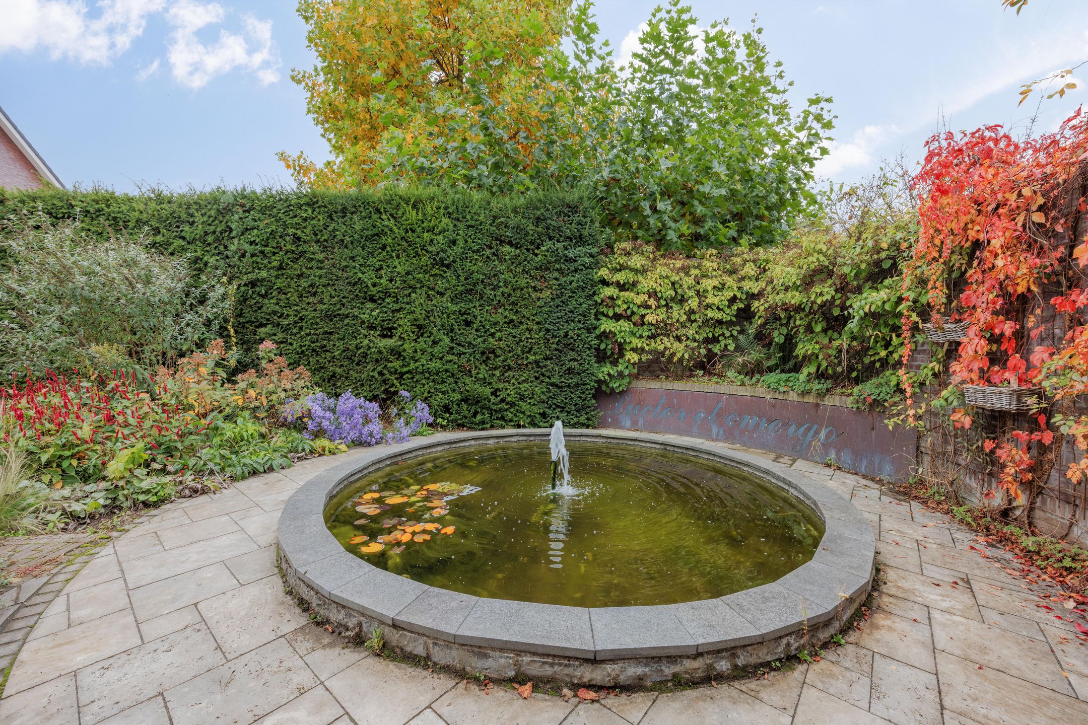 Foto 54 van de Weem 15