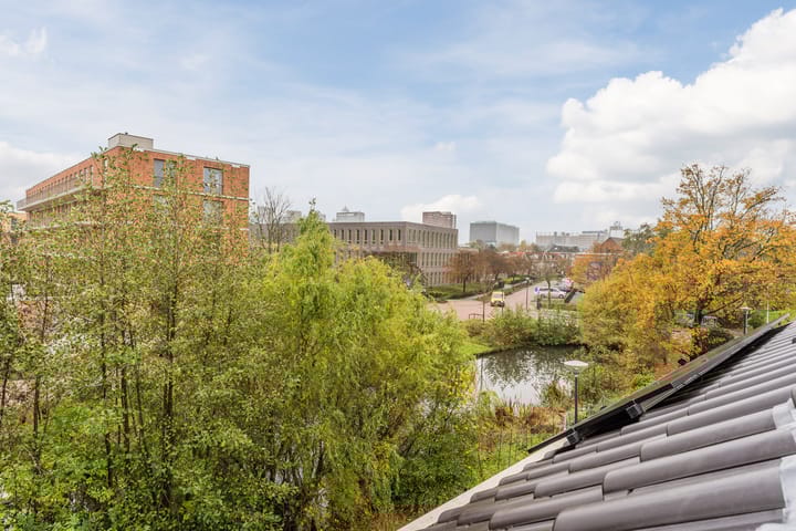 Photo 44 of Hanepoelpad 6