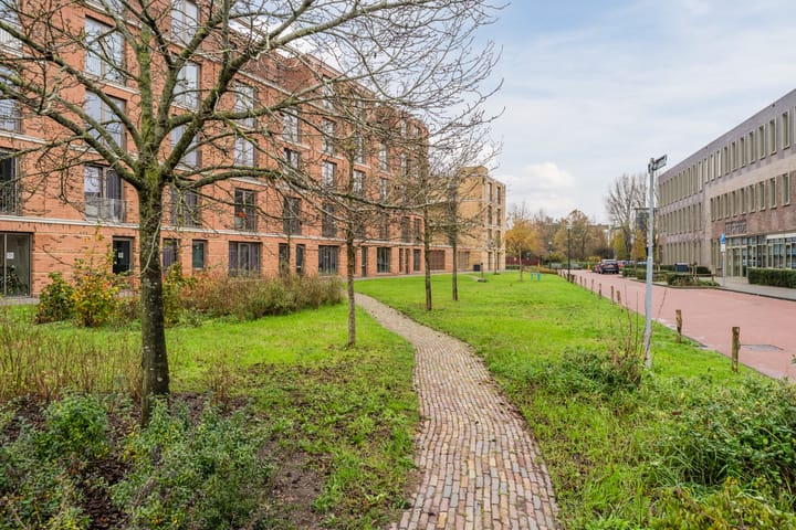 Photo 53 of Hanepoelpad 6