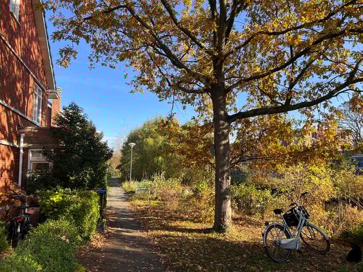 Photo 55 of Hanepoelpad 6