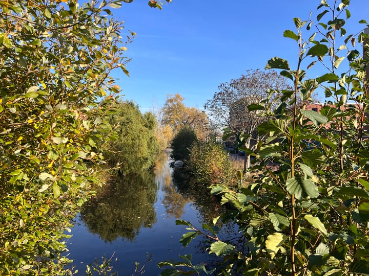 Photo 56 of Hanepoelpad 6