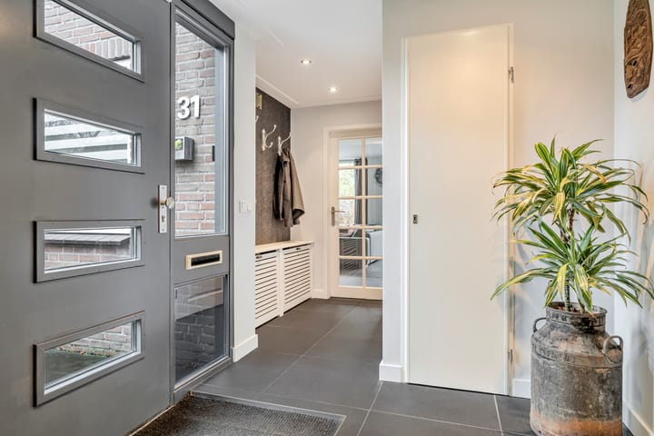 Foto 12 van Olmenpad 31