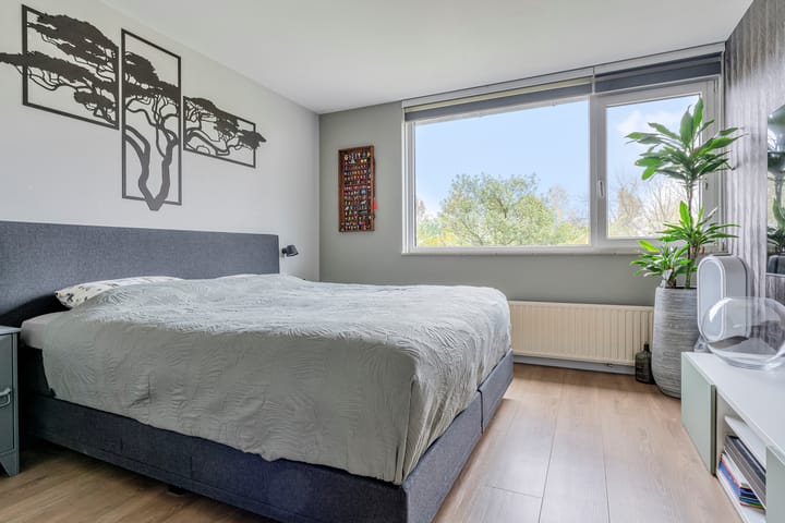 Foto 14 van Olmenpad 31