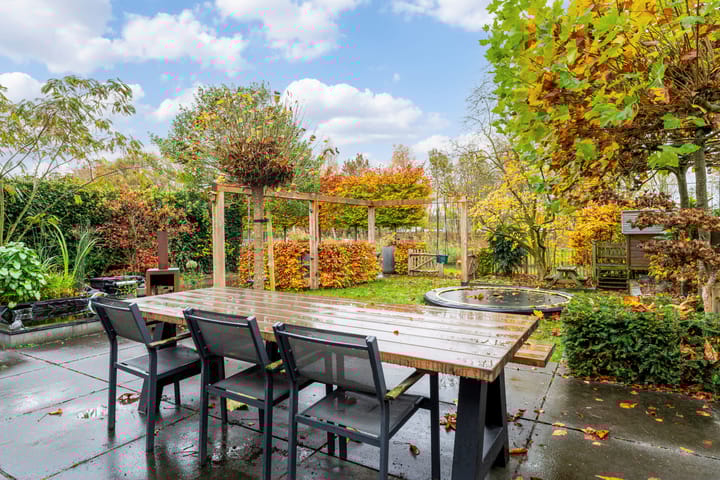 Foto 21 van Olmenpad 31