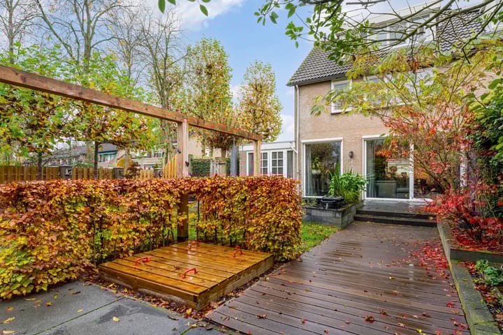 Foto 24 van Olmenpad 31