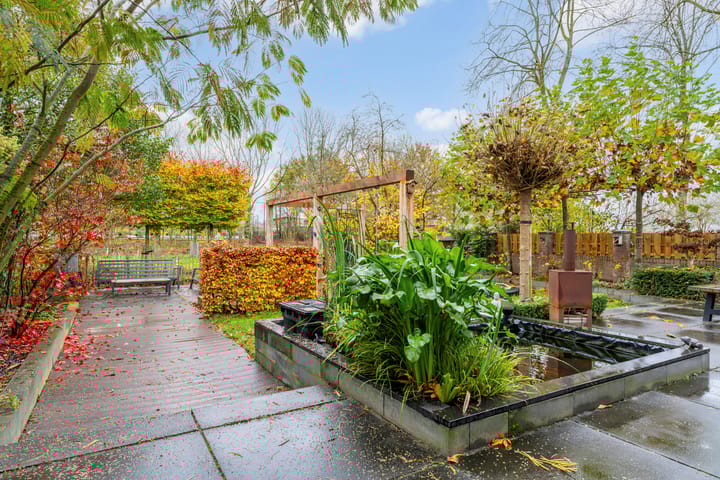 Foto 26 van Olmenpad 31