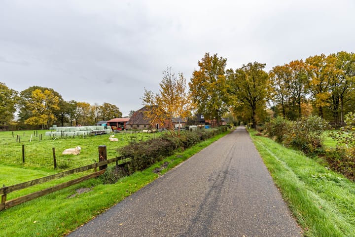 Foto 19 van Inialoane 96