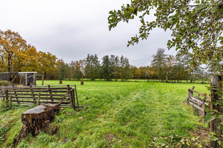 Foto 23 van Inialoane 96