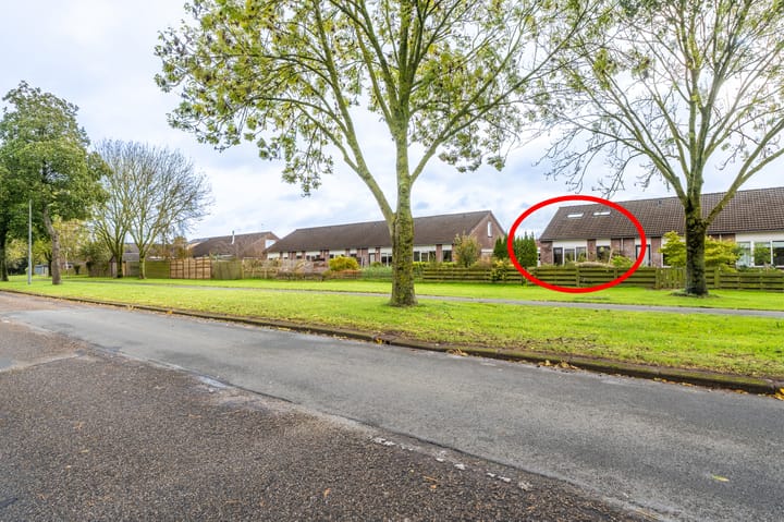 Foto 2 van Duivenslag 17