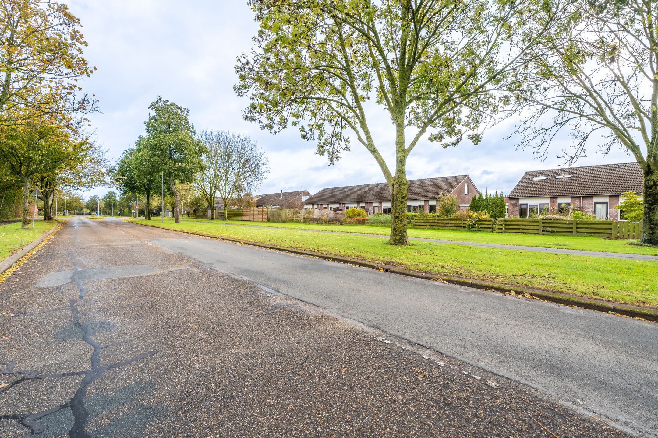 Foto 9 van Duivenslag 17