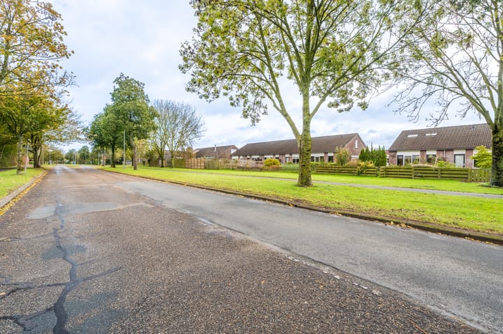 Foto 9 van Duivenslag 17