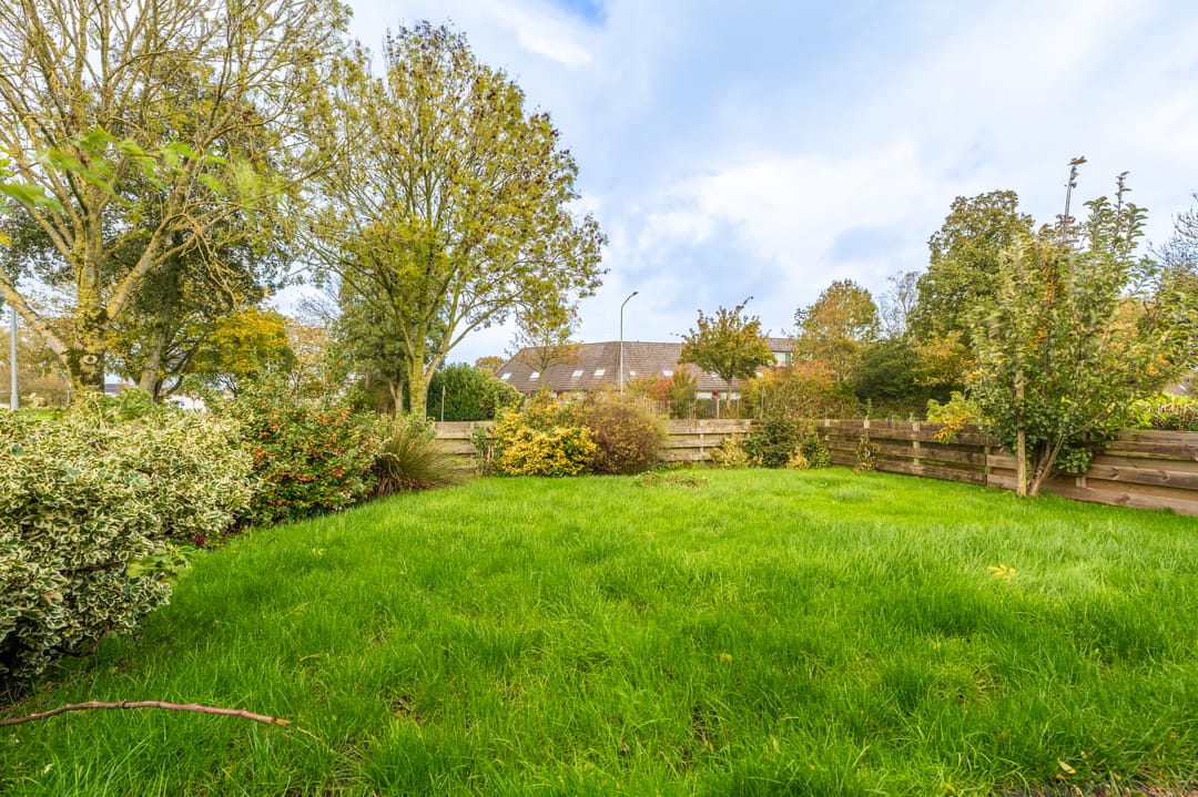 Foto 16 van Duivenslag 17