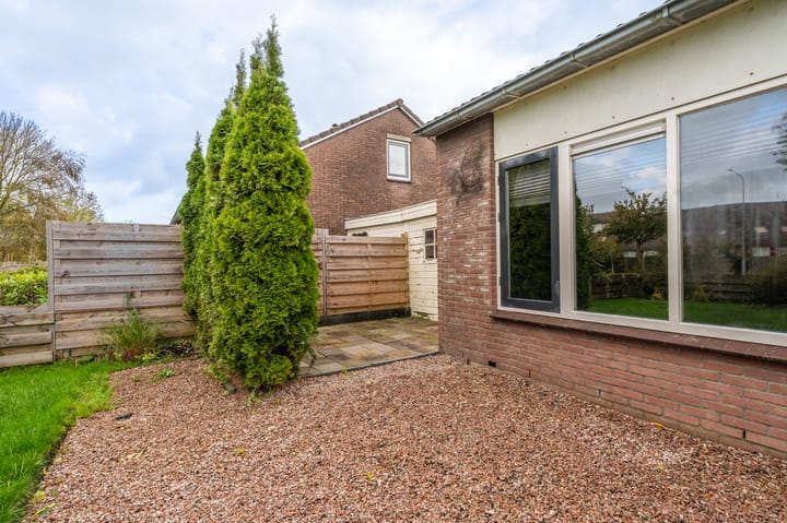 Foto 17 van Duivenslag 17