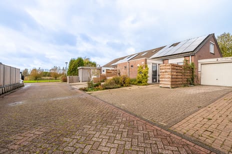 Duivenslag thumbnail