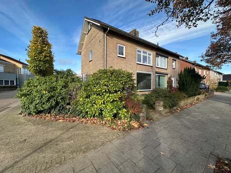 undefined main image