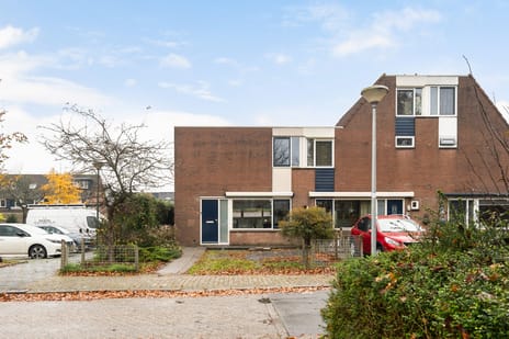 Paardebloemweide thumbnail