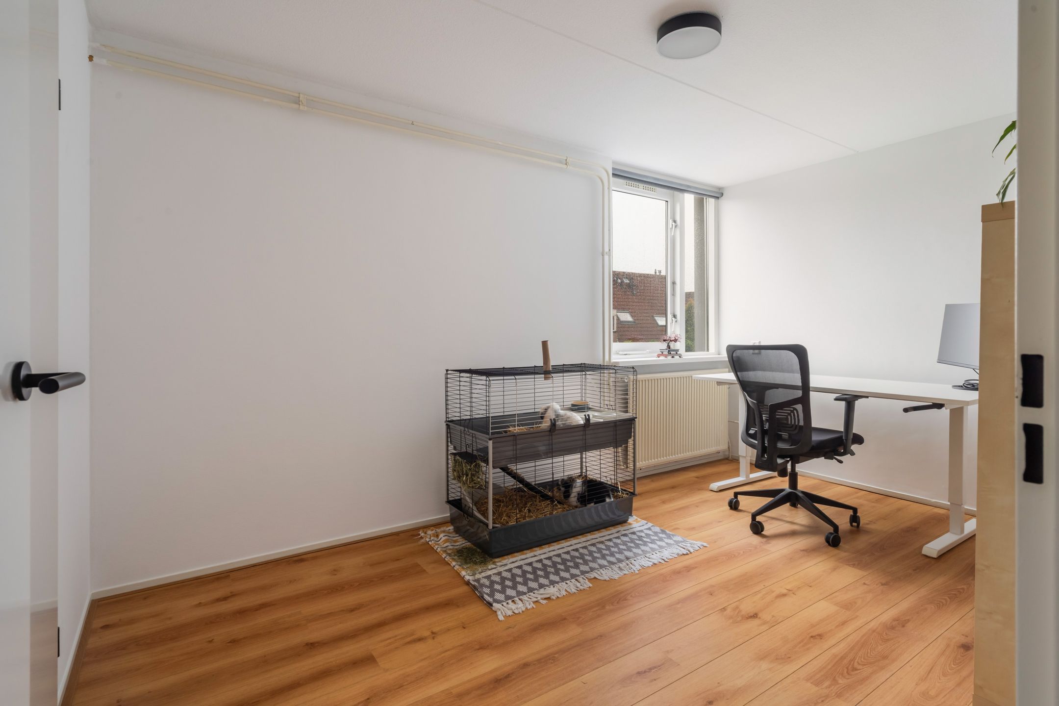 Foto 33 van Paardebloemweide 1