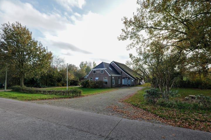 Foto 3 van Oranje 45