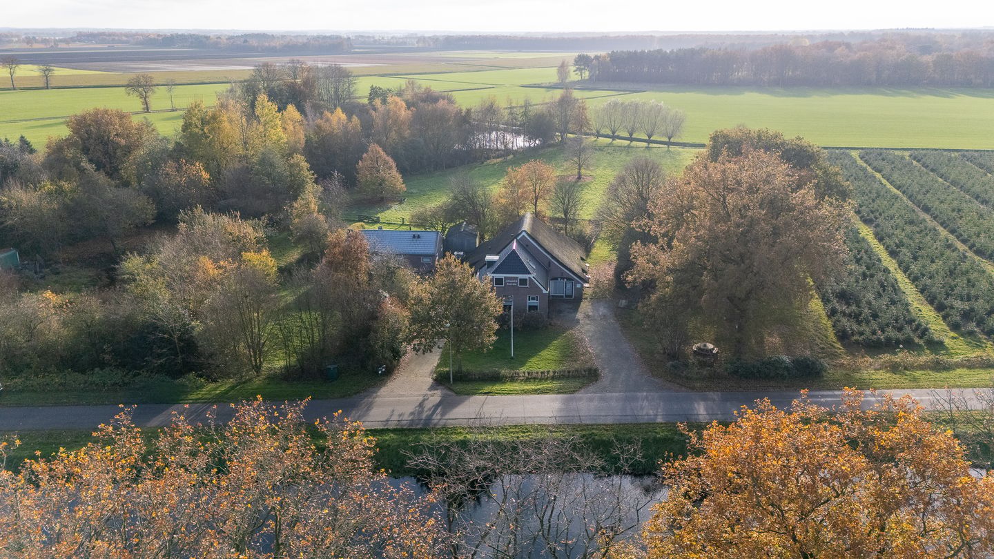 Foto 4 van Oranje 45