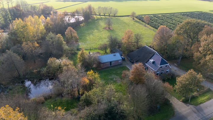 Foto 5 van Oranje 45