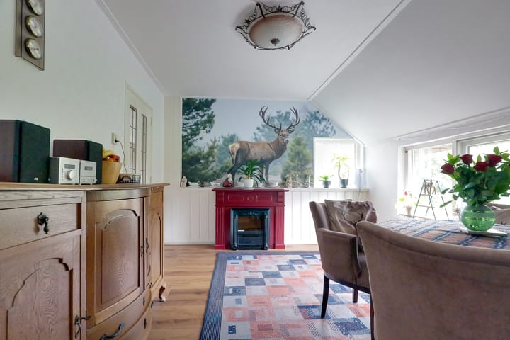 Foto 11 van Oranje 45