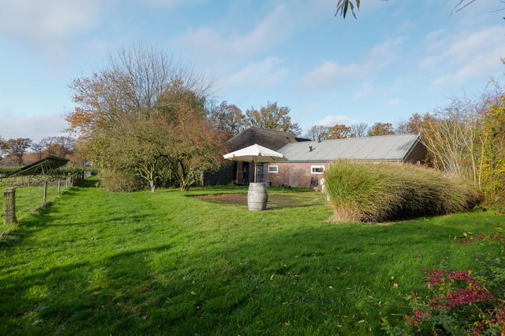 Foto 30 van Oranje 45