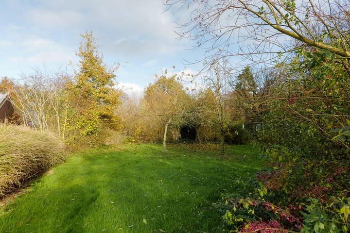 Foto 31 van Oranje 45