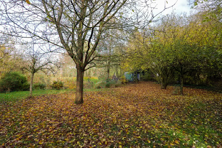 Foto 32 van Oranje 45