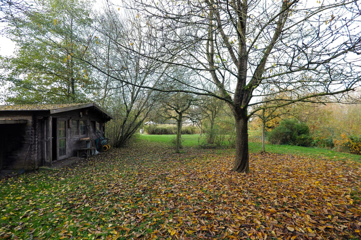 Foto 33 van Oranje 45