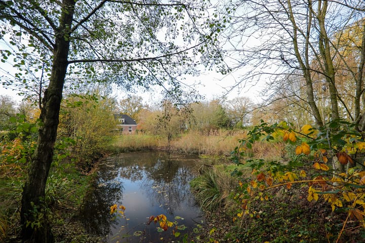 Foto 34 van Oranje 45