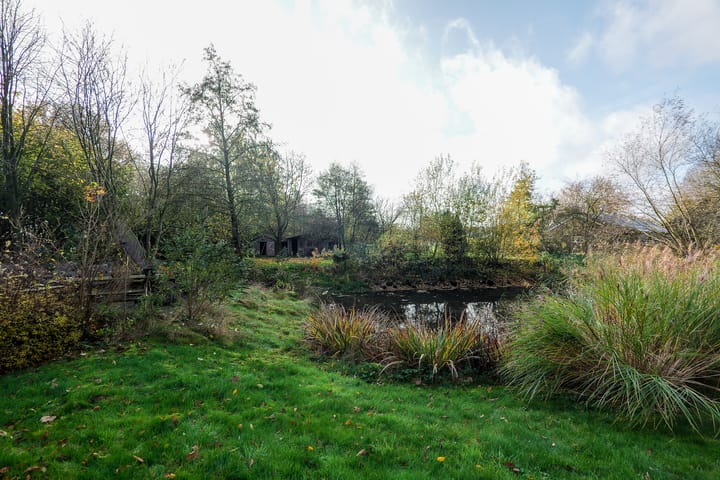 Foto 36 van Oranje 45