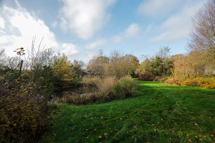 Foto 37 van Oranje 45