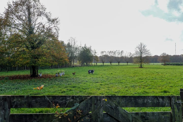 Foto 39 van Oranje 45