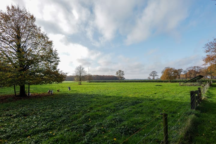 Foto 40 van Oranje 45