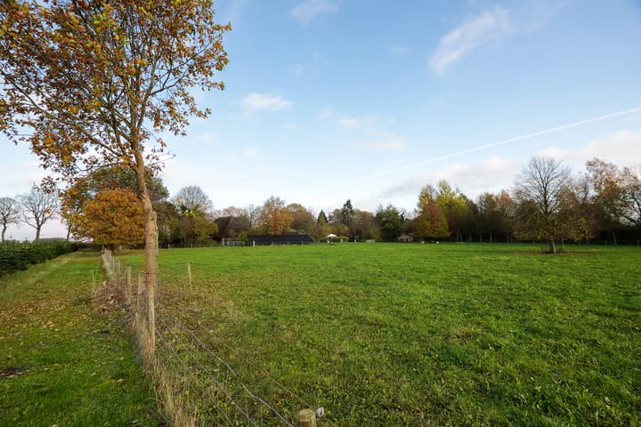 Foto 41 van Oranje 45