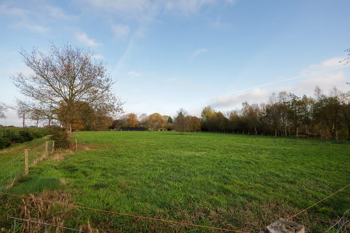 Foto 43 van Oranje 45