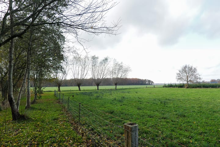 Foto 44 van Oranje 45