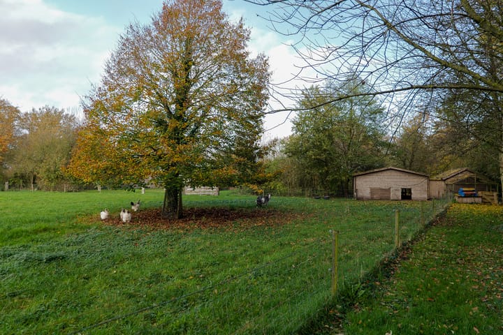 Foto 45 van Oranje 45