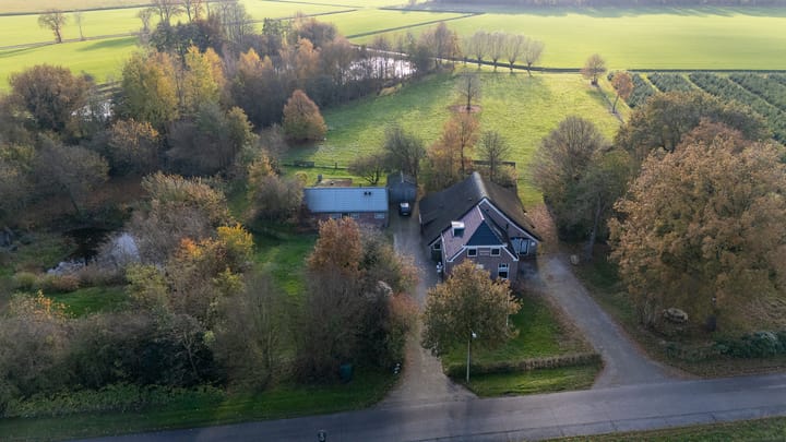 Foto 46 van Oranje 45