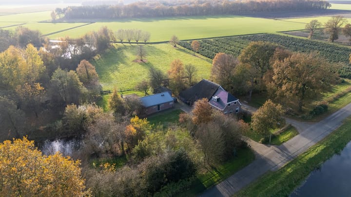 Foto 47 van Oranje 45