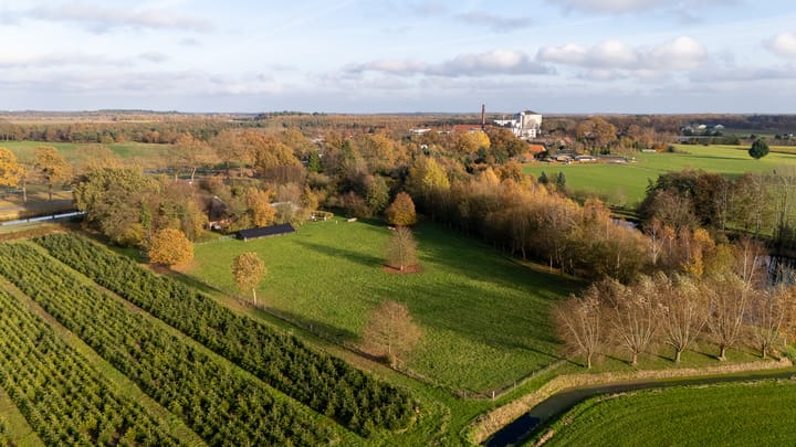 Foto 48 van Oranje 45