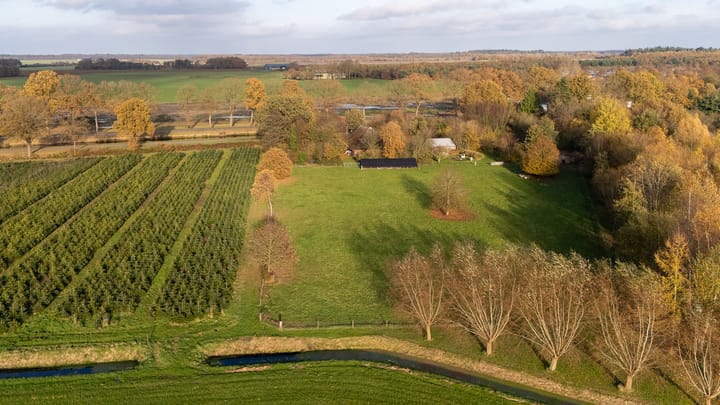 Foto 49 van Oranje 45