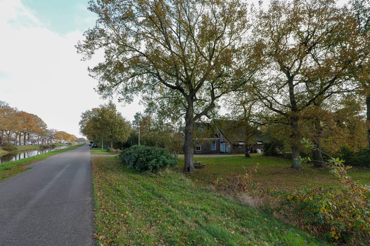 Foto 50 van Oranje 45