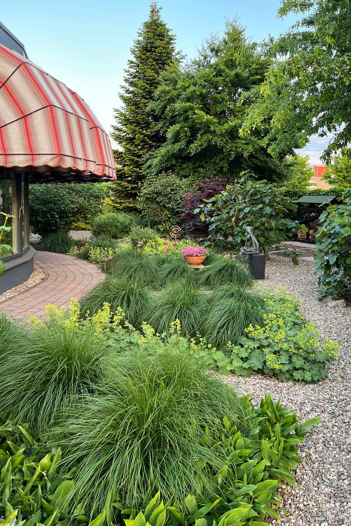 Photo 10 of Karper 4