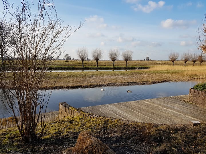 Photo 11 of Karper 4