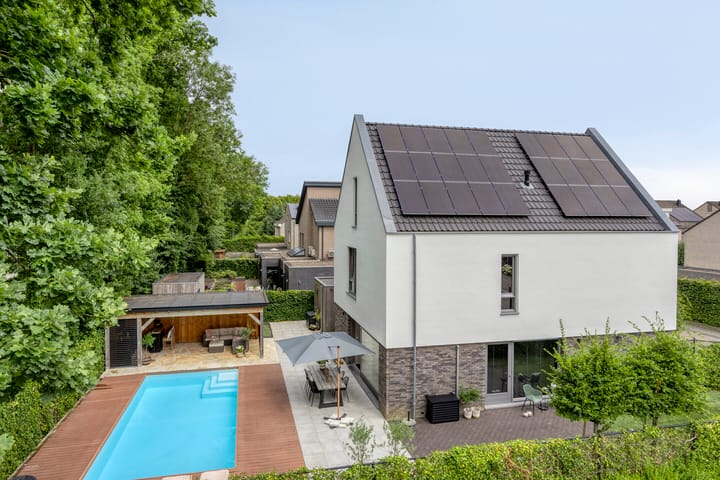 Foto 35 van Pommer 1