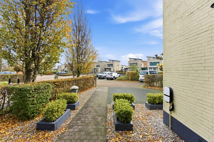 Photo 58 of Karper 4